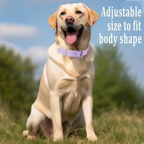 Beowanzk Hundehalsband, reflektierendes Hundehalsband, Supreme mit weichem & starkem Nylon, Hundehalsbänder für kleine, mittelgroße Hunde (Lila-Gelb, M)