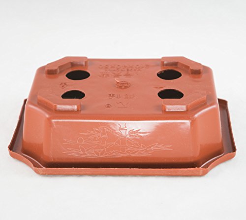 4 Rectangular Dark Orange Plastic Bonsai Training Pots 7"X 5.5"X 2" #TOP2