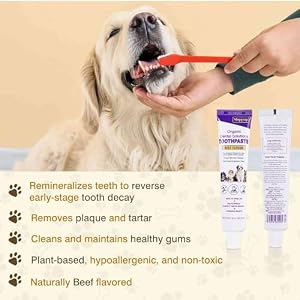 Toothpaste | Teeth Cleaning and Fresh Breath Dental Care for Maltese Shih Tzu and Other Hybrid Dogs | Soothes Inflamed Gums | Safe for Puppies | Vet Formulated 1 Pack (2.4 OZ) Toothpaste | Teeth Cleaning and Fresh Breath Dental Care for Maltese Shih Tzu and Other Hybrid Dogs | Soothes Inflamed Gums | Safe for Puppies | Vet Formulated 1 Pack (2.4 OZ)