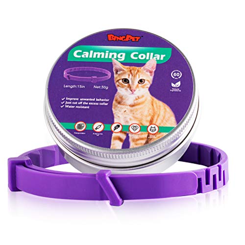 BINGPET Calming Collar for Cats - 60 Days Effective Adjustable Reduce Anxiety Kitten Collar for Small Cats and Puppies, Up to 15