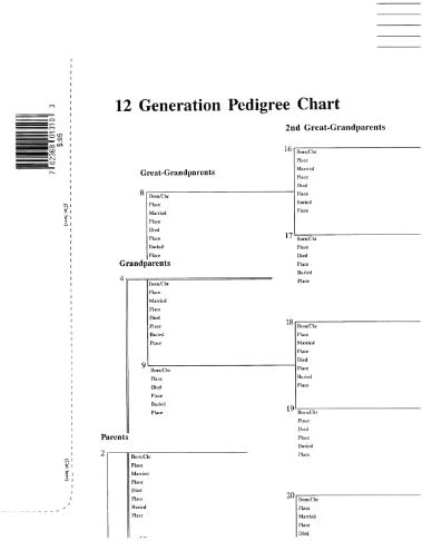 12 Generation Pedigree Chart - 10 pack