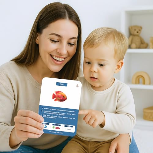 Image of SPARTAN KIDS Sea Animals Flash Cards for Kids Cognitive Skills | 27 Early Learning Flash Cards Easy & Fun Way of Learning 1 Year to 6 Years Babies