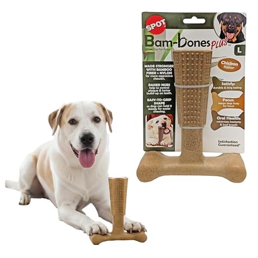 Brinquedo para mastigar para cães SPOT by Ethical Products, grande