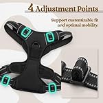 rabbitgoo Dog Harness No Pull with 2 Leash Clips, Adjustable Soft Padded, Reflective Oxford No Choke Pet Vest with Easy Control Handle for Large Dogs, Black, L - Image 4