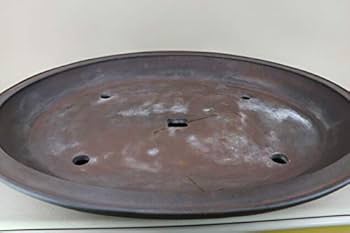 Amazon | 【盆栽鉢】 時代鉢 一友作 紫泥外縁楕円鉢（超大型