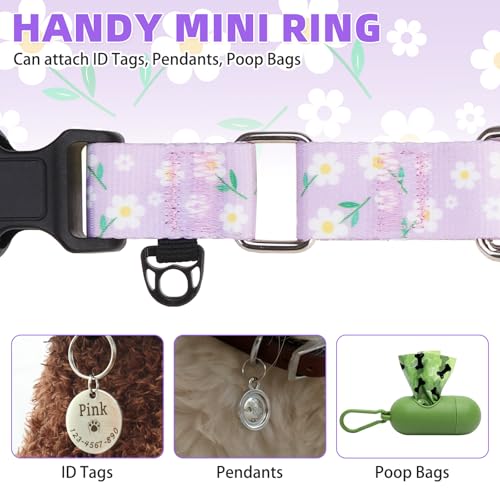 Image of Martingale Collar for Dogs for Small Medium Large Dogs, Soft Padded Nylon No Pull Dog Collar with Buckle, Adjustable No Slip Heavy Duty Durable Puppy Training Collar for Boys Girls, Purple M