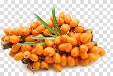 Sea Buckthorn Oil Capsules Skin Beauty Women’s Health with Natural Omega 7 Omega 9, Berry Powder Capsule Seabuckthorn Oil Nutrivity - Image 4