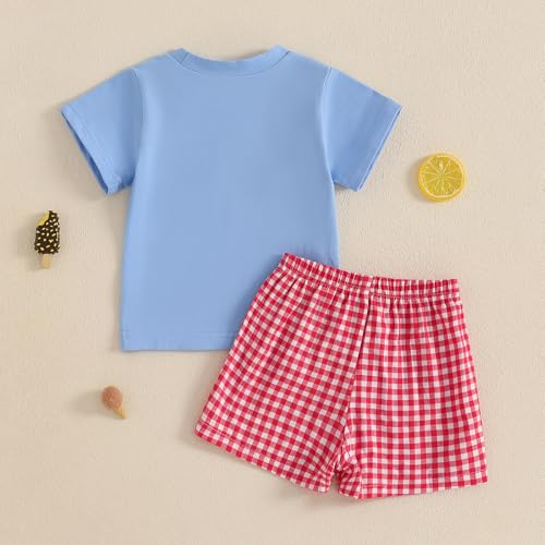 Image of 4th Of July Toddler Boy Outfit Popsicle American Flag T-Shirt and Gingham Plaid Shorts Set Independence Day Clothes