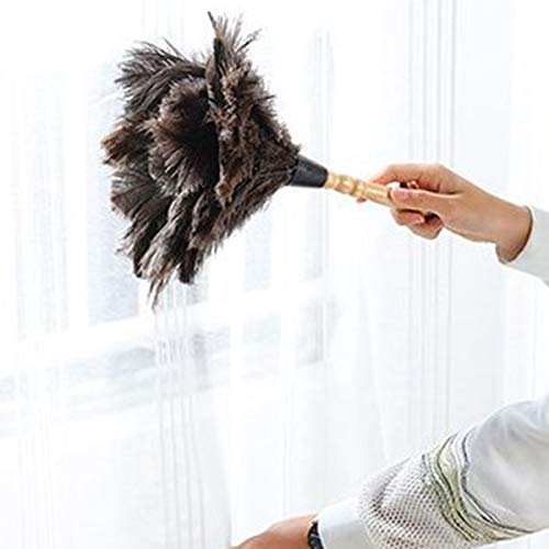 Sandis Anti-Static Ostrich Feather Fur Brush Duster Dust Cleaning Tool with Wooden Handle Household - Image 4