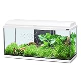 Praktisch und funktional Aquatlantis Aquadream 80 Weiß