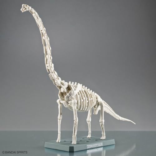 Consejos para Comprar Brachiosaurus los preferidos por los clientes. 9 Imagen adicional