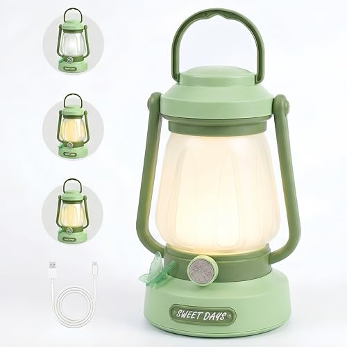 ChicLumen 4-Color Butterfly Kids Lantern