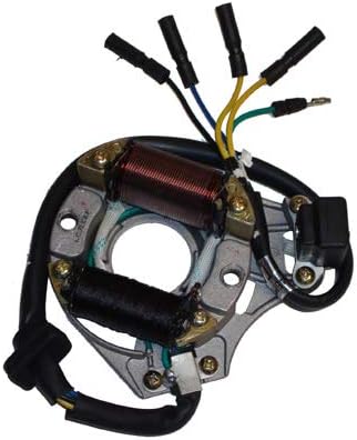 DirtBike Magneto Stator Coil Pack, fits many Baja Warrior 90,