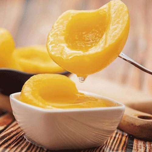 ʋl n[tJbg 2820giŌ`ʁF460gj X027534