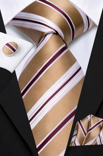 Image of Dubulle Silk Ties Set for Men Formal Paisley Striped Necktie Pocket Square Cufflinks 3PCS Sets Wedding Business Party