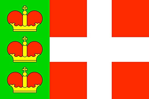 Drapeau Iziaslav raion grand format pour mât | Khmelnytskyi Oblast - 2