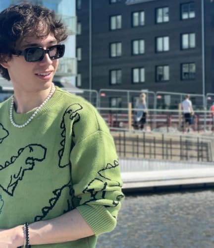 Image of Aelfric Eden Womens Sweaters Oversized Dinosaur Cute Graphic | Knitted Unisex Long Sleeve Crewneck Kawaii Cartoon Print Casual Vintage y2k Streetwear Pullover Tops