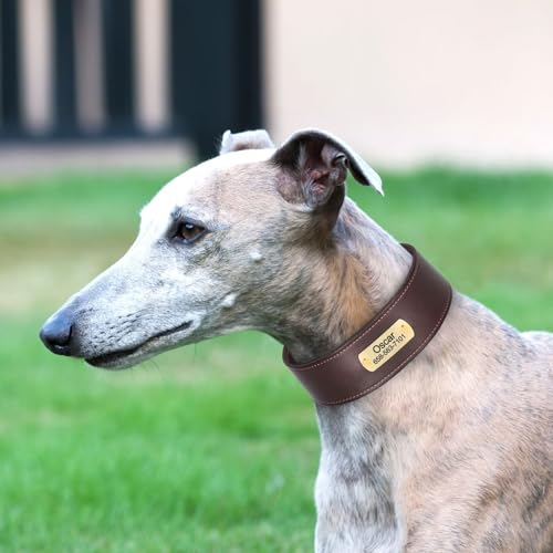 Beirui Personalized Dog Collars with Name Plate, Leather Dog Collar with Engraved Nameplate, Stylish and Heavy Duty Custom Dog Collar with Name for Large Medium Dogs (Brown,L)