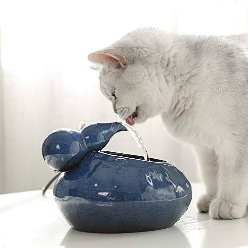 Distributeur d'eau Électrique en Céramique pour Animaux de Compagnie de Fontaine d'eau de Fontaine de Chat