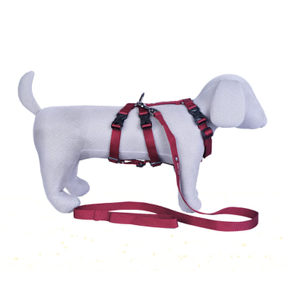 Pets Like Double H Harness with Leash Set Maaroon (Medium) (B09D3B6611) Amazon Price History, Amazon Price Tracker