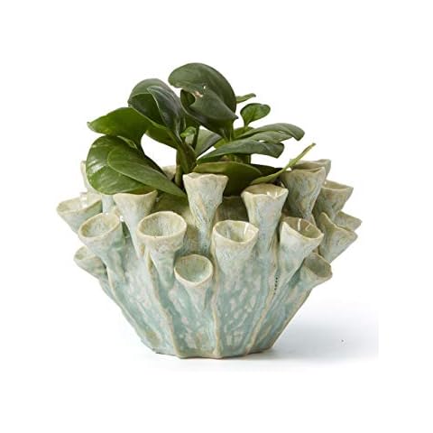 SEINHIJO Ceramic Pot Planter Flower Pot Indoor Cacuts Succulent Decor Gifts 19cm Cover