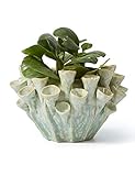 【TAMAÑO IDEAL】 - 20cm de diámetro x 13cmH. Su tamaño compacto lo hace ideal para el alféizar de una ventana, una mesa decorativa o un escritorio.