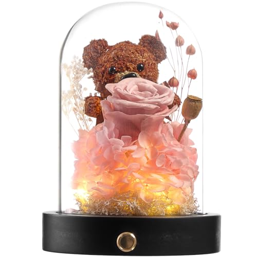 Polylove Forever Flowers Gifts for Women Preserved Roses Bear with Mood Light Gifts for Girlfriend Wife Mother Valentines Day Mothers Day Christmas Birthday (Dusty Pink Rose, Pink Hydrangea)