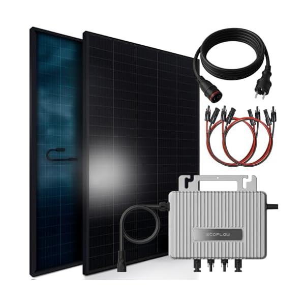 SUNNIVA 920W Balkonkraftwerk BIFAZIAL FULLBLACK komplett Steckdose Ecoflow 800W Wechselrichter, PV Solaranlage, 2x 460W Glas-Glas Solarmodule, inkl. 5m Kabel, Bluetooth WIFI, Komplettset