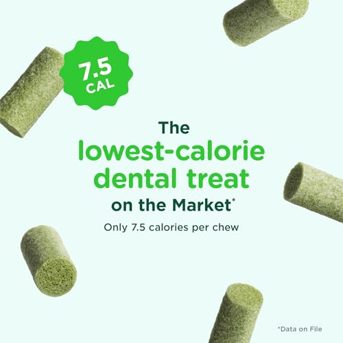 Image of Minties FreshBites Soft and Chewy Dental Treats, Low Calorie Natural Mint Flavored Dental Chews for Dogs, 50 Count, Dog Chews Clean Teeth, Fight Bad Breath, Removes Plaque and Tartar