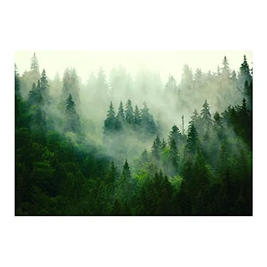 WallArena - Vlies Fototapete Wald im Nebel Bäume Panorama Natur 368x254 cm - Fototapeten - Tapeten - für Wohnzimmer Schlafzimmer - Vliestapete Wandtapete Tapete 3D Effekt- inkl. Kleister
