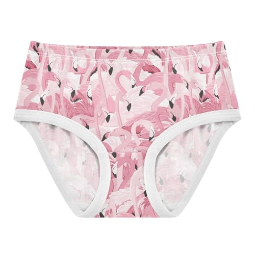 Girls Underwear Soft Cotton Flamingo Kids Panties in Sizes 2/3t, 4t, 5t, 6 and 8