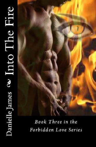 INTO THE FIRE (Forbidden Love Book 3)