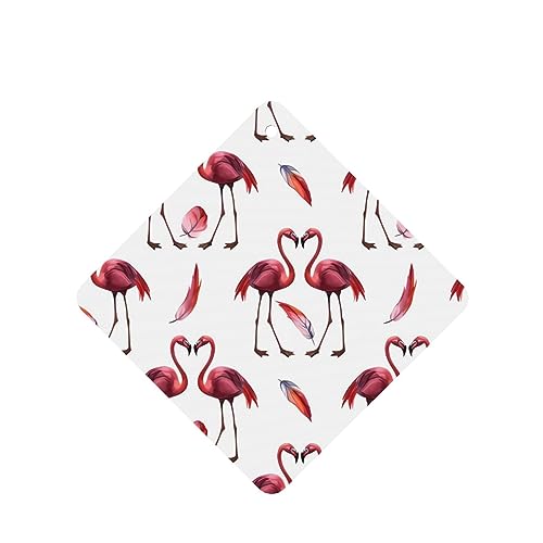 u[sNt~SԗpF p[\iCYꂽXCX J[A}Zs[^ubg ݂艺F܃J[h [vt 4 ԂƂ̑p