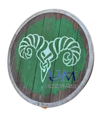 Bouclier viking médiéval fantaisie Oblivion Morrowind Elder Scrolls Metal Wood 61 cm Vert et Blanc, bleu, 61 cm