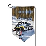 Fortschrittliches Schneemobil