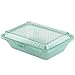 G.E.T. EC-11-1-JA-EC Half Size Take-Out Food Container, 9