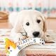 Pluvyze Hunde Geburtstag,Hundespielzeug Geburtstag,Hund Geburtstag, Haustier-Hundekuchen-Knorpelspielzeug Geburtstagsgeschenke für Kleine und Mittelgroße Hunde