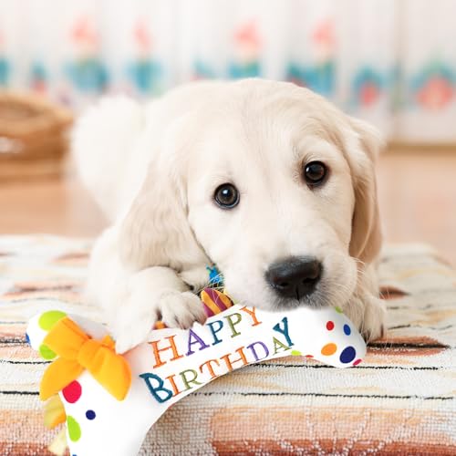 Pluvyze Hunde Geburtstag,Hundespielzeug Geburtstag,Hund Geburtstag, Haustier-Hundekuchen-Knorpelspielzeug Geburtstagsgeschenke für Kleine und Mittelgroße Hunde