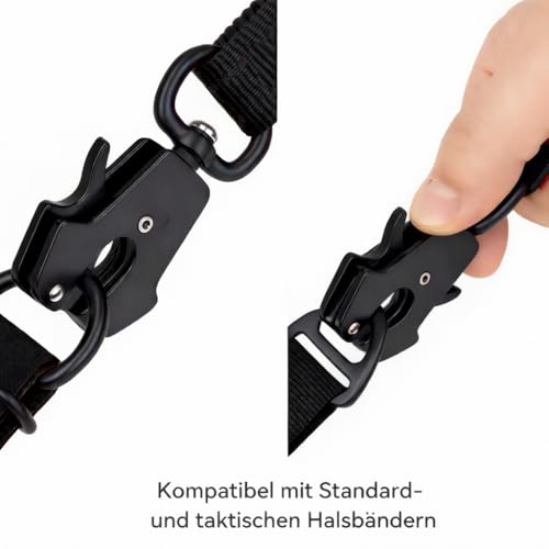 Lina Pet Hundeleine 3m x 2,5 cm, Reflektierend – Verstellbare Doppelleine aus Nylon mit Aluminium-Karabiner, Führleine für große und mittelgroße Hunde