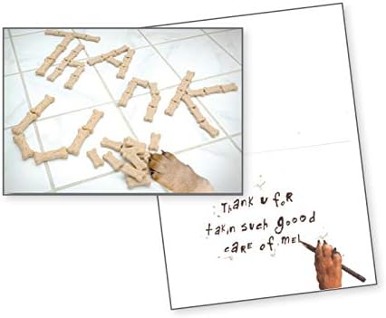 Dog Speak Thank You Letter โ Pet Sitter Appreciation Card โ Dog Paw with Treats Design, 4.75" x 6.75" โ Includes Envelope, Thoughtful Pet Care Thank You