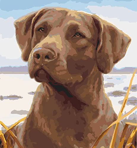 Kit d'art diamant chien triste : l'activité anti-stress idéale pour adulte débutant
