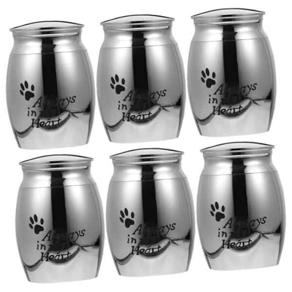 PATKAW 6 Stuks Urn Gedenkteken Crematie Urn Hond As Urn Hond Urnen Mini Urnen Kleine Hond Urnen Voor As Mini Dieren Crematie Urn Tank Huisdier Urn Crematie Tank Vader