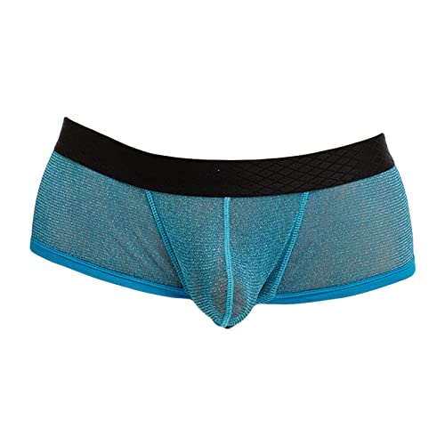 DGKaxiyaHM sous-vêtements Transparents pour Hommes Boxer Transparent Taille Basse en Maille avec Poche bombée Maillot de Bain Culotte Sexy Respirant (Bleu Clair,M)