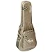 Taylor GS Mini Gig Bag