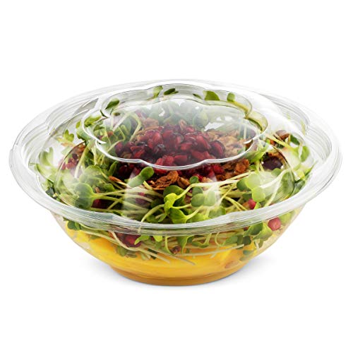 NYHI 24 Ounce Clear Plastic Disposable Salad Containers Set with Leak Proof Lids - Bulk Pack of Portable Salad To-Go Meal Prep Food Boxes - Fresh Airtight Seal - 25 pack