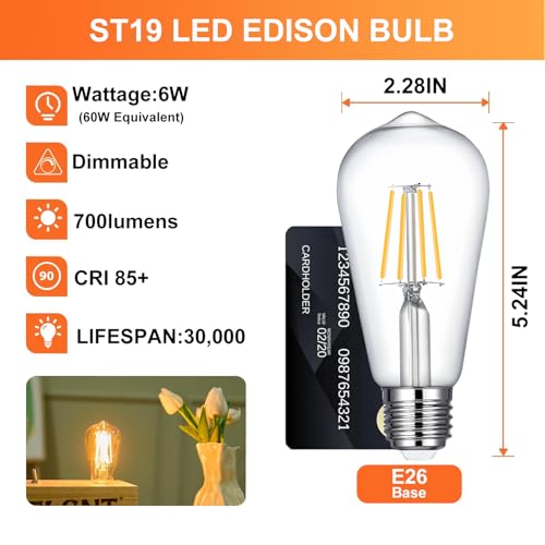 Image of ST19 LED Bulb 6W Equivalent 60W 2700k Warm White 120V, 12 Pack Ivyemons High Output ST19 LED Bulbs Dimmable, No Flicker ST 19 E26 Base Led Bulb,ST 19 LED Edison Light Bulbs for Indoor /Outdoor Lighting