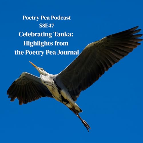 S8E47 Celebrating Tanka: Highlights from the Poetry Pea Journal