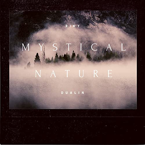 The House among the Trees (Original mix)