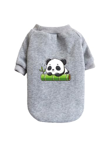   p_ ybg hbOEFA ̕ L ybgEFA h _炩 іh~   t@bV U ybgpi