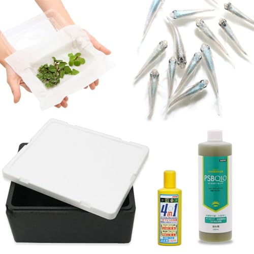 i߂jij̏ȃANAE V_JiX[p[jƔAX`[ijŎZbg t {Bl llR_